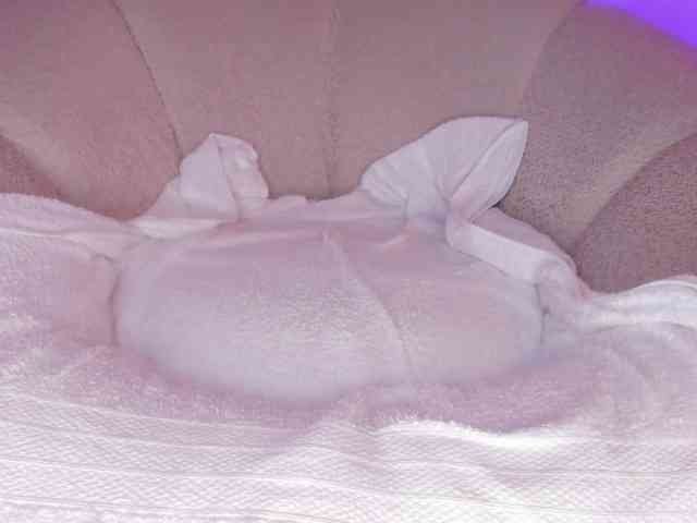 cutte-hanna18 webcam