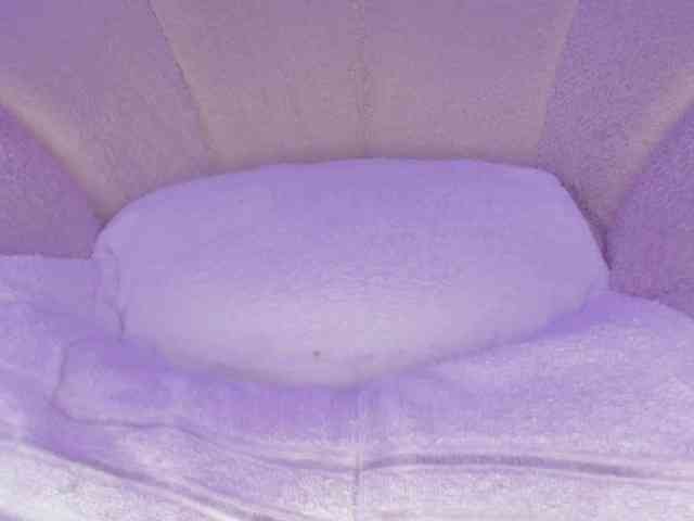 cutte-hanna18 webcam