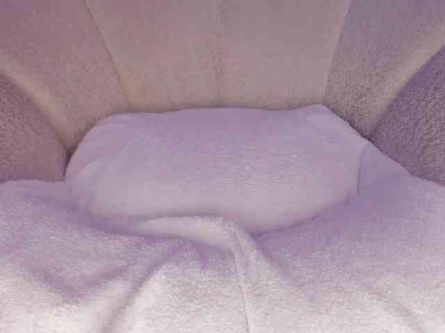 cutte-hanna18 webcam