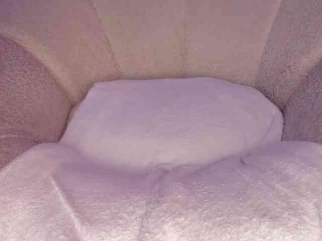 cutte-hanna18 webcam