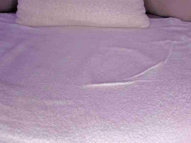 cutte-hanna18 webcam