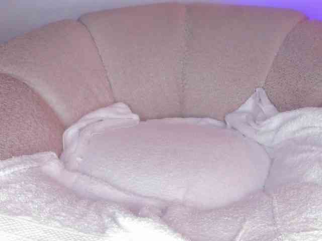 cutte-hanna18 webcam