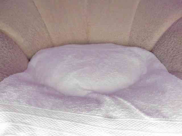 cutte-hanna18 cutte-hanna18