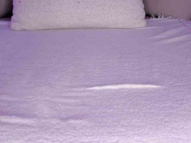 cutte-hanna18 webcam