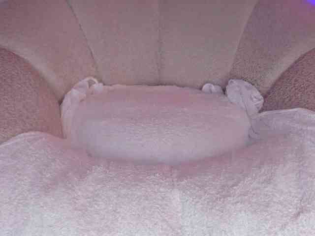 cutte-hanna18 webcam