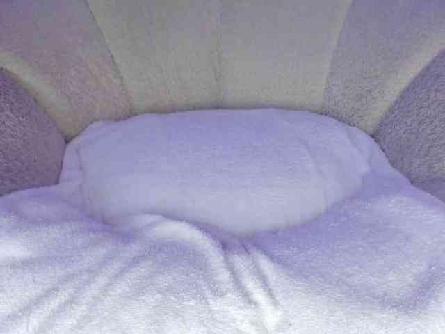 cutte-hanna18 webcam