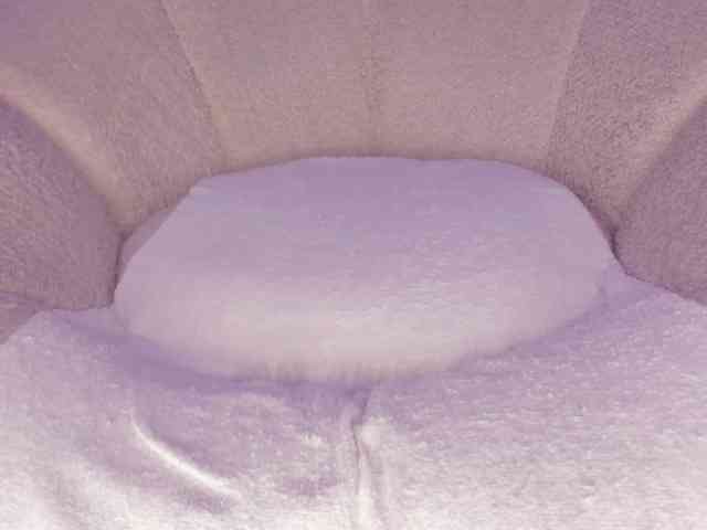 cutte-hanna18 webcam