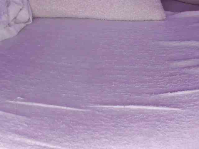 cutte-hanna18 webcam