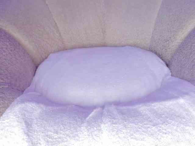 cutte-hanna18 webcam