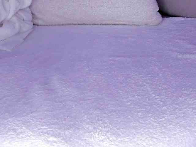 cutte-hanna18 webcam