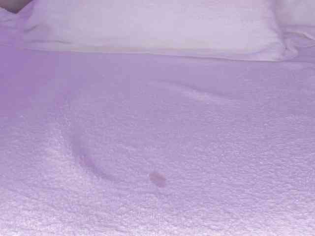 cutte-hanna18 webcam