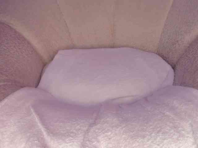 cutte-hanna18 webcam