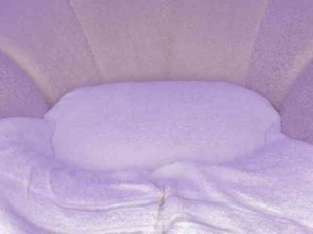 cutte-hanna18 webcam