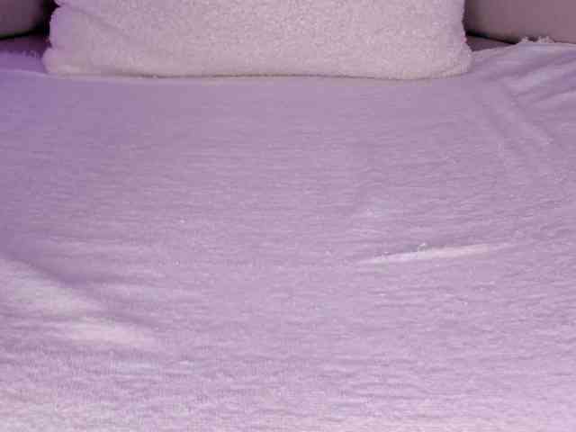 cutte-hanna18 webcam