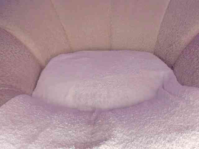 cutte-hanna18 webcam
