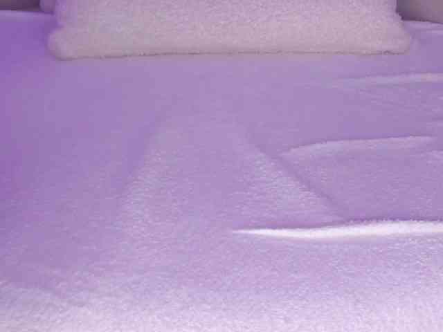 cutte-hanna18 cutte-hanna18