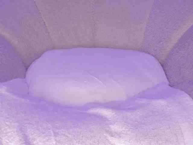 cutte-hanna18 cutte-hanna18