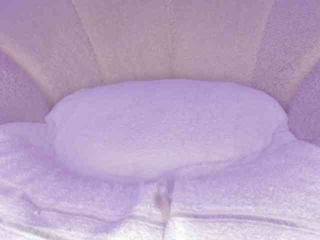 cutte-hanna18 webcam