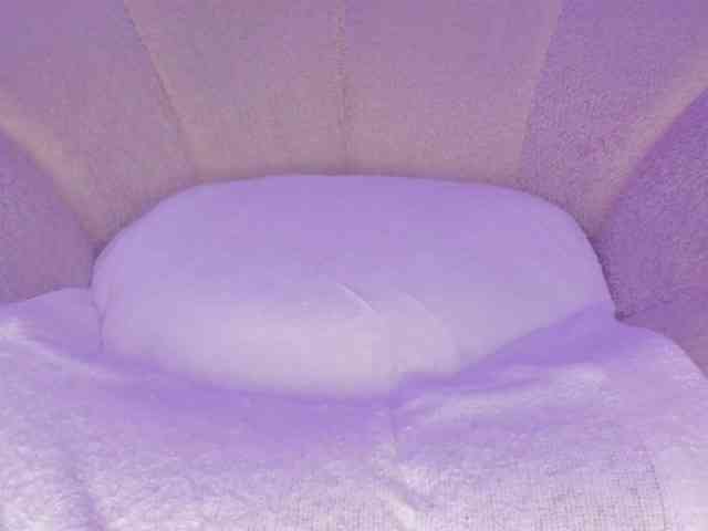 cutte-hanna18 webcam