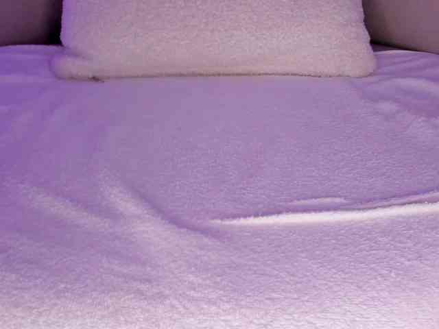 cutte-hanna18 webcam