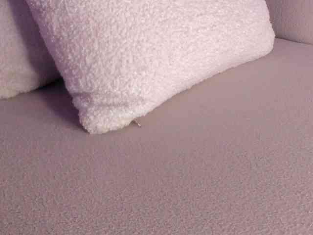 cutte-hanna18 webcam