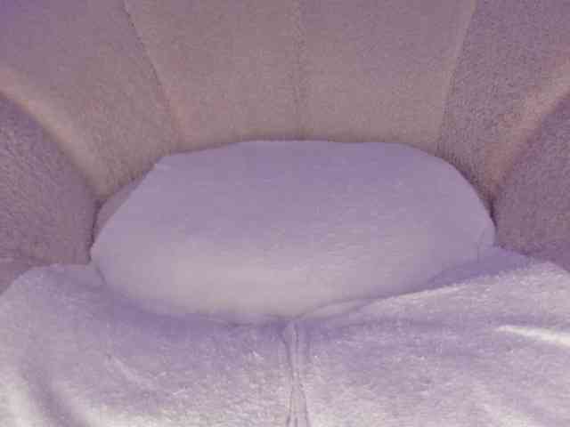 cutte-hanna18 webcam