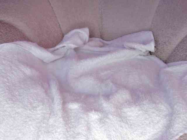 cutte-hanna18 webcam