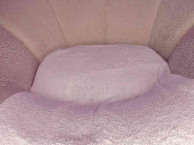 cutte-hanna18 webcam