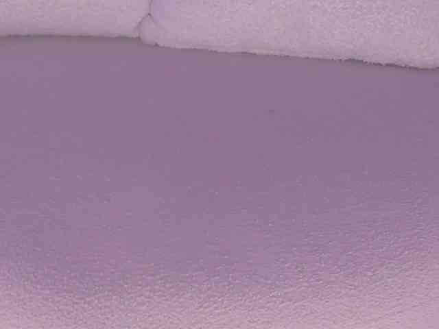 cutte-hanna18 webcam