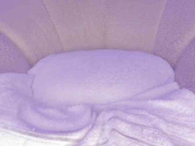 cutte-hanna18 webcam