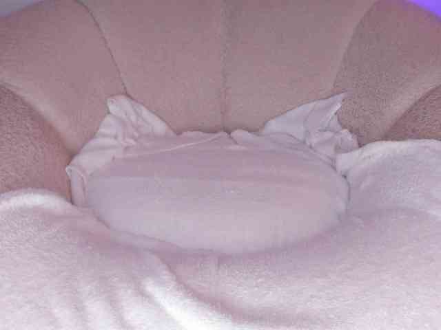 amateur sex live Cutte-hanna18