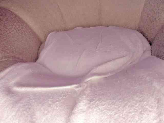 cutte-hanna18 webcam