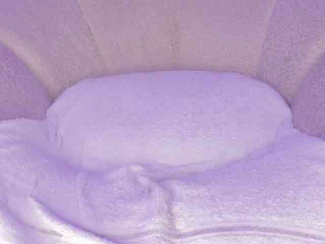 cutte-hanna18 webcam