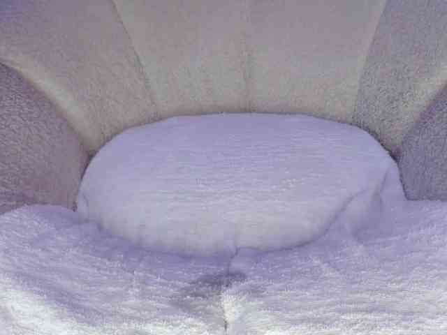 cutte-hanna18 webcam