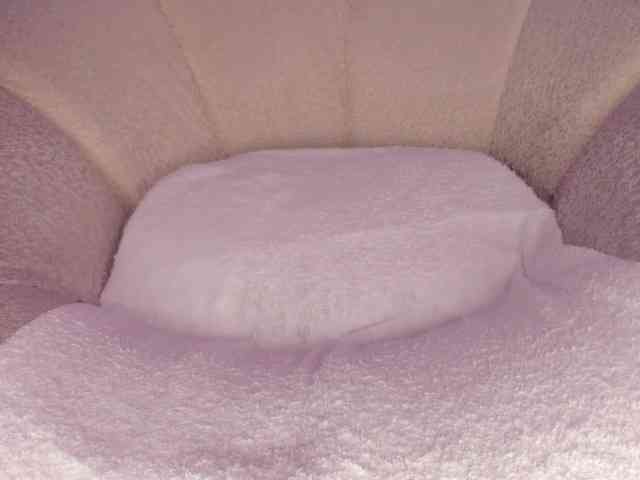 cutte-hanna18 webcam