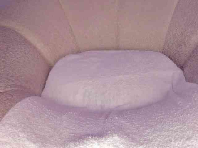cutte-hanna18 webcam