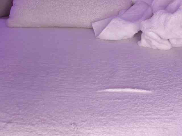 cutte-hanna18 webcam