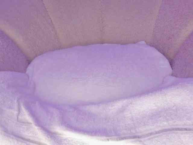 cutte-hanna18 webcam