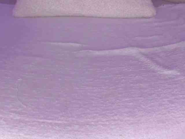 cutte-hanna18 webcam