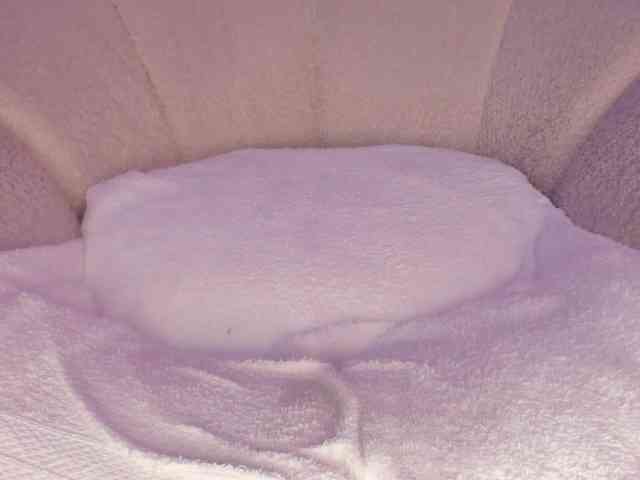 cutte-hanna18 webcam