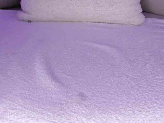 cutte-hanna18 webcam