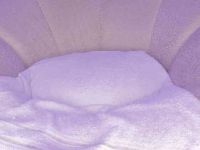 cutte-hanna18 webcam