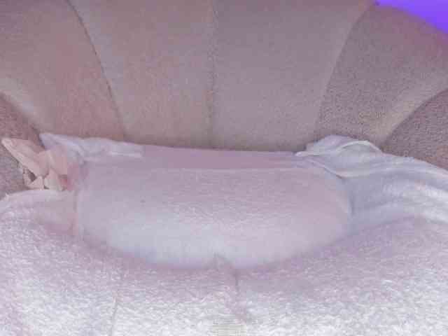 cutte-hanna18 webcam