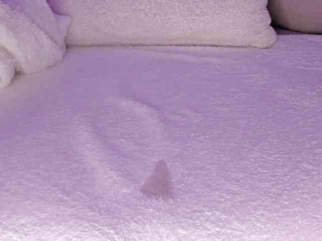 cutte-hanna18 webcam