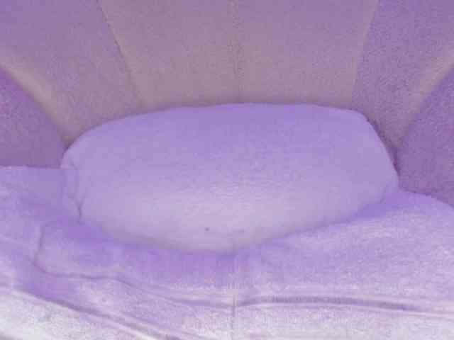 cutte-hanna18 webcam