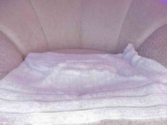 cutte-hanna18 webcam