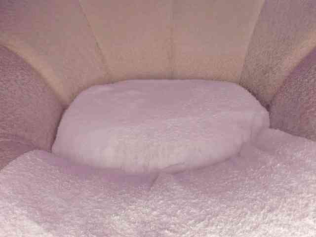 cutte-hanna18 webcam