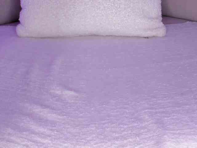 cutte-hanna18 webcam