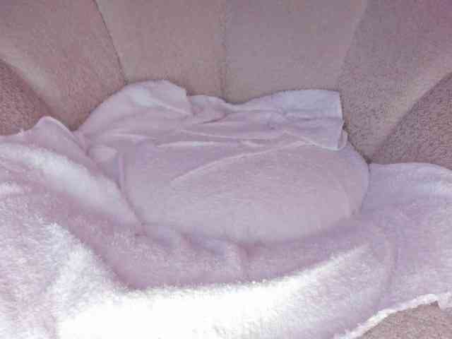cutte-hanna18 webcam