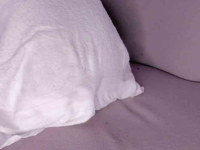 cutte-hanna18 webcam